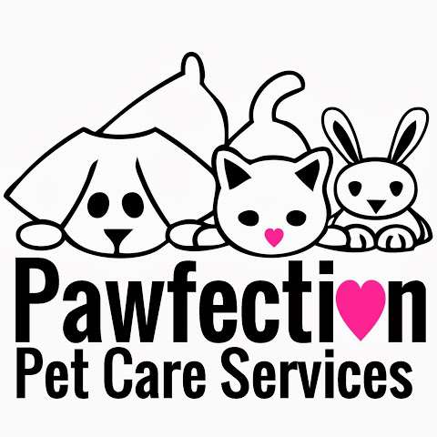 Pawfection Dog Grooming & Pet Care Services Lytham photo